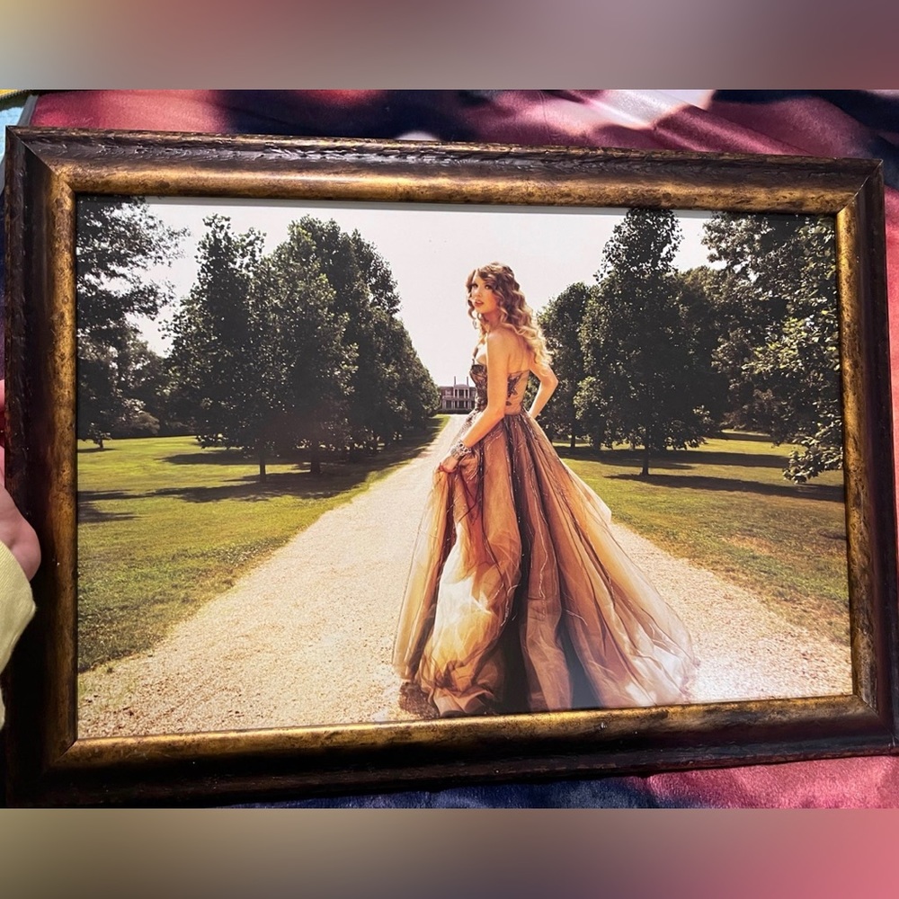 Taylor swift speak now lithograph